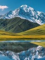单场固定足球比分-单场固定足球比分，一场智慧与勇气的博弈盛宴