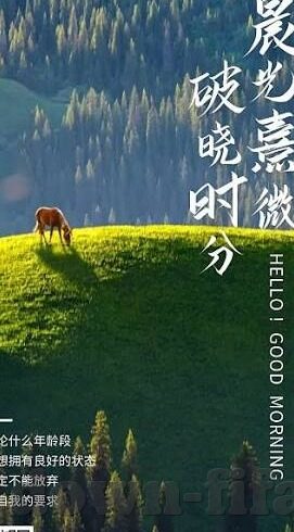 足球滚球之前比分-足球滚球前比分深度解析，策略、风险与实战技巧全揭秘